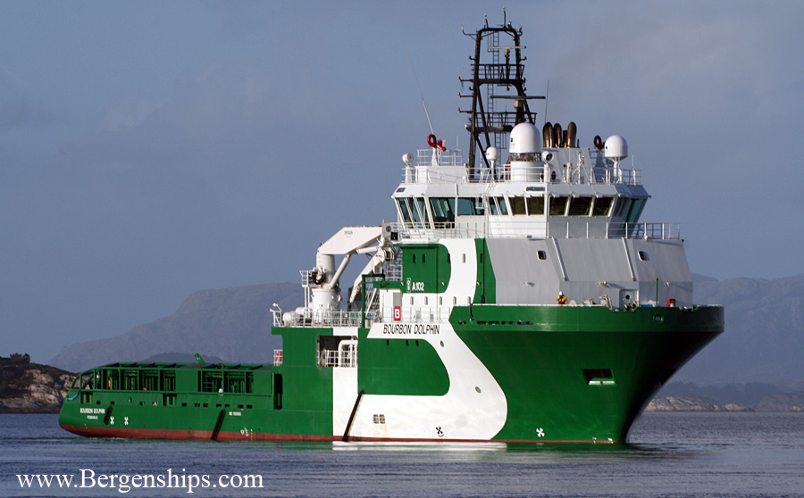 bourbon-dolphin5